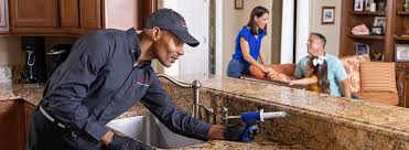 Best Residential Pest Control  in Ladoga, IN